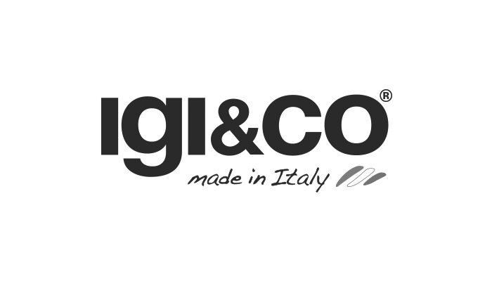 Logo Igi&Co